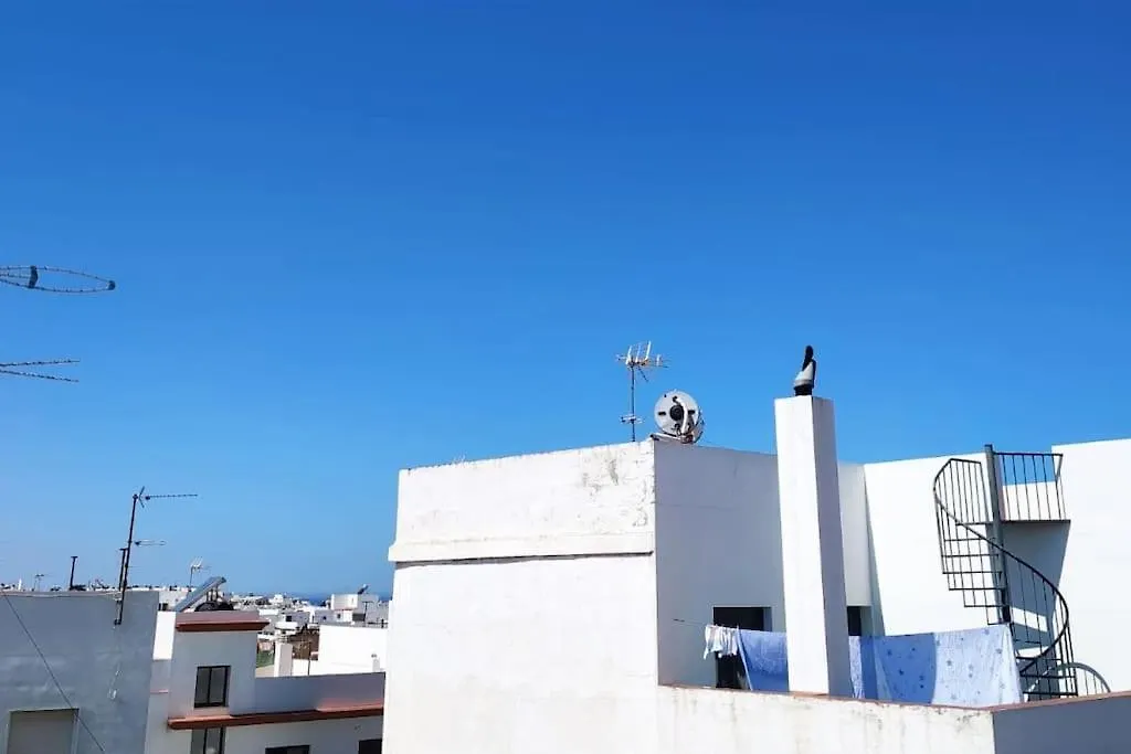 Espectacular Casa Muy Luminosa Con Azotea Apartment Conil De La Frontera